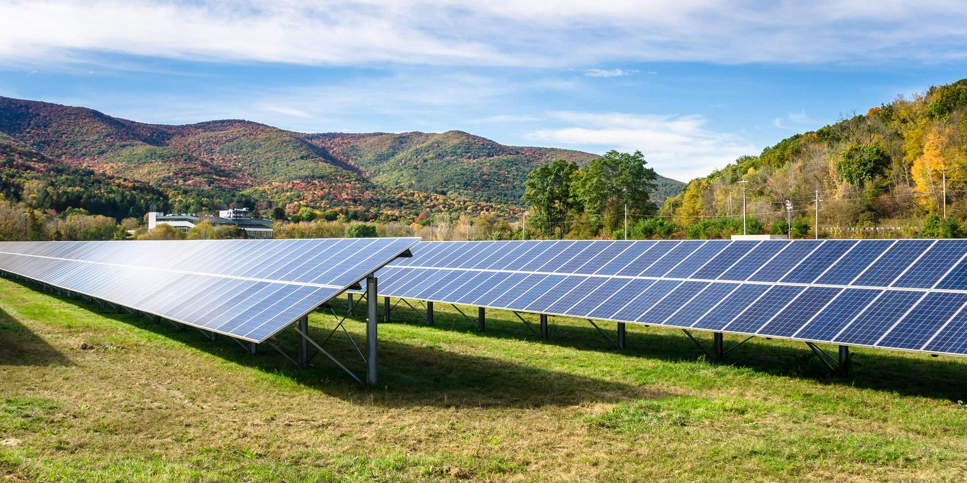 Pagina Climate change strategy