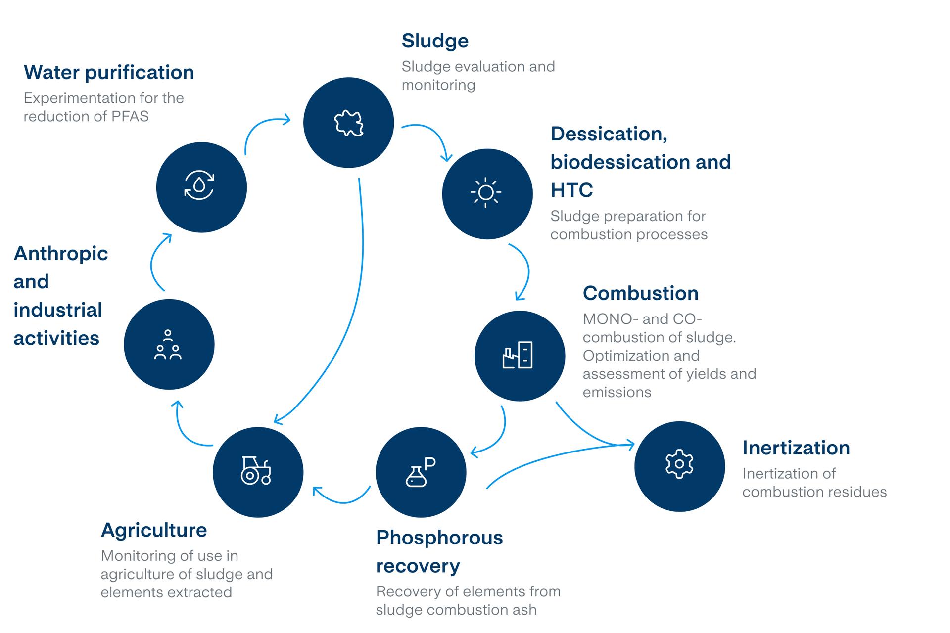 Infografica processo di analisi eng